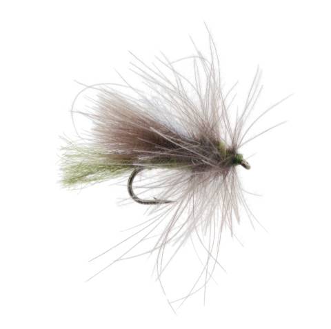 Corn Fed Caddis - Olive